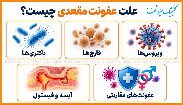 اینفوگرافیک علتهای عفونت مقعدی: باکتری، قارچ، ویروس، آبسه و فیستول، عفونتهای مقاربتی